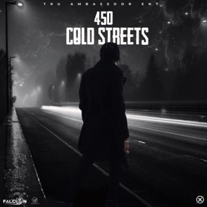 Cold Streets-450