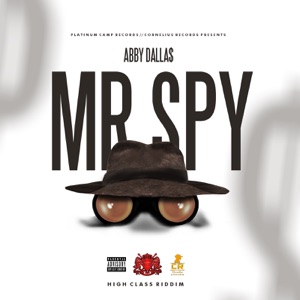 Mr. Spy-Abby Dallas