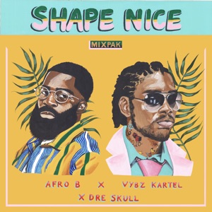 Shape Nice-Afro B