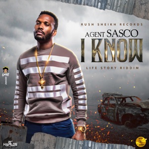 I Know-Agent Sasco (Assassin)