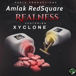 Realness-Amlak Redsquare