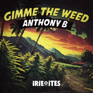 Gimme The Weed-Anthony B