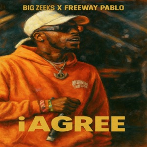 iAGREE-Big Zeeks