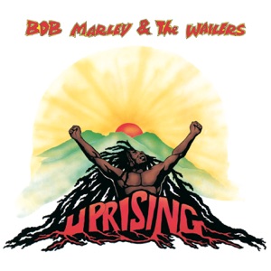 Coming In From The Cold-Bob Marley