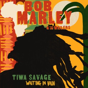Waiting In Vain-Bob Marley