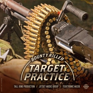 Target Practice-Bounty Killer