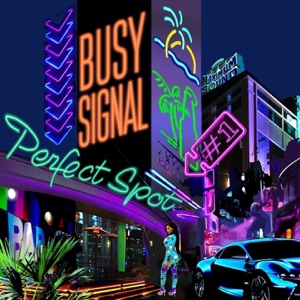 Perfect Spot-Busy Signal