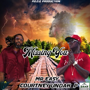 Missing You-Courtney Undah P