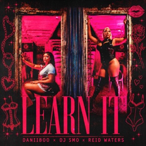 Learn It-Daniiboo