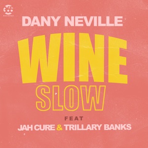Wine Slow-Dany Neville