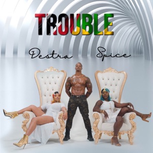 Trouble-Destra