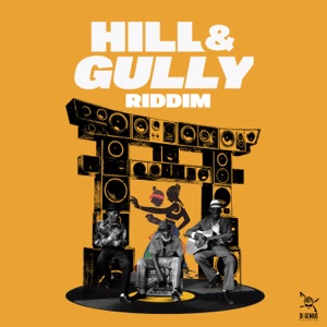 Hill & Gully Riddim-Di Genius