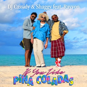 If You Like Pina Coladas-DJ Cassidy