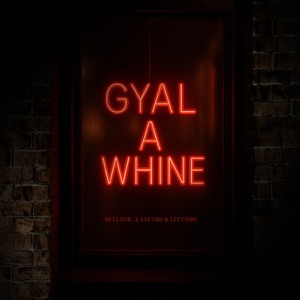 Gyal a Whine-DJ Flash
