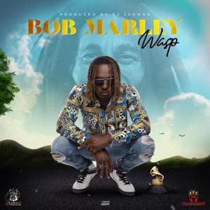 Bob Marley-Dj Jahmar