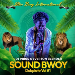 Sound Bwoy Dubplate, Vol. #1-DJ Virus