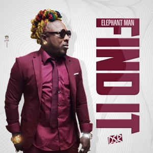 Find It-Elephant Man