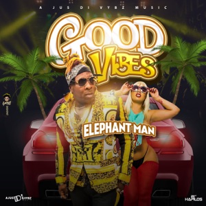 Good Vibes-Elephant Man