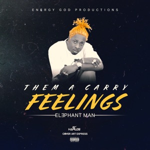Them a Carry Feelings-Elephant Man