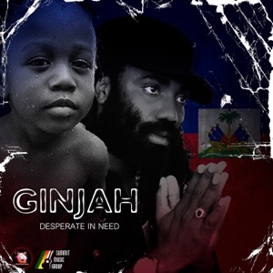 Desperate in Need-Ginjah