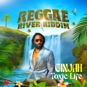 Toxic Life-Ginjah