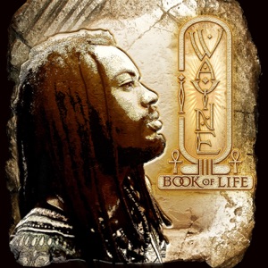 I Wayne - Book of Life