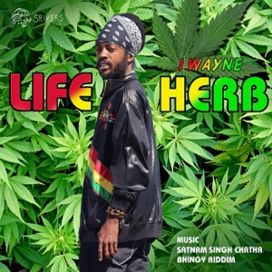 Life Herb-I Wayne