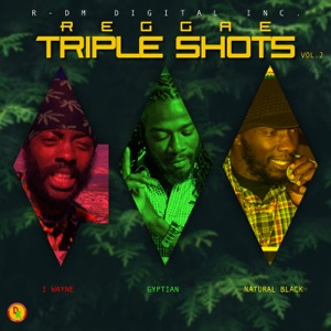 I Wayne - Reggae Triple Shots, Vol. 2