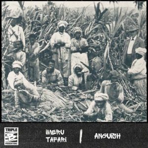 Anguish - Imeru Tafari
