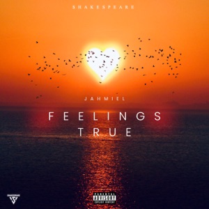 Feelings True-Jahmiel