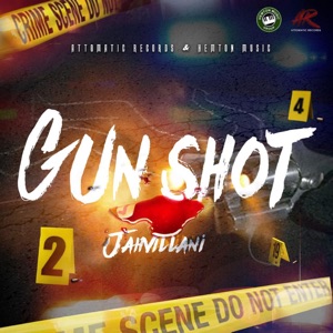 Gun Shot-Jahvillani