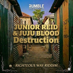 Destruction-Junior Reid