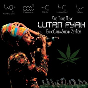 Endocannabinoid System-Lutan Fyah