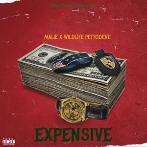Expensive-Malie Donn