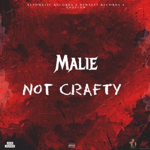 Not Crafty-Malie Donn