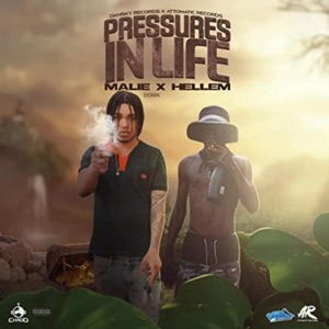 Pressures in Life-Malie Donn