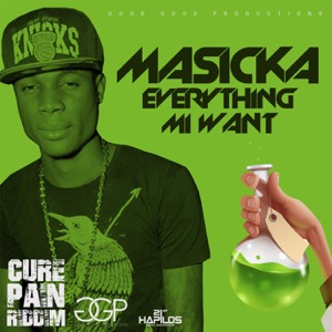 Everything Mi Want-Masicka