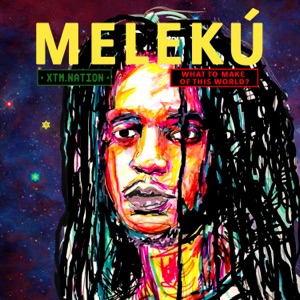 What to Make of This World-Meleku