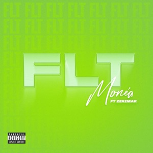 FLT-Monéa