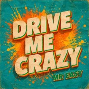 Drive Me Crazy-Mr. Easy