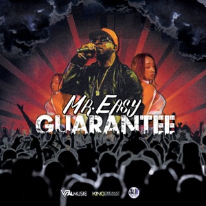 Guarantee-Mr. Easy