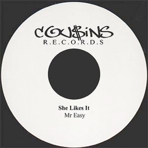 She Likes It-Mr. Easy