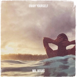 Enjoy Yourself-Mr. Vegas