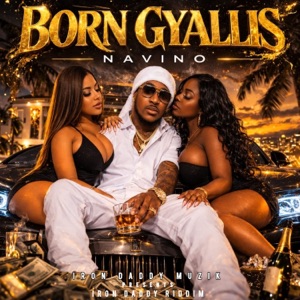 Born Gyallis-Navino