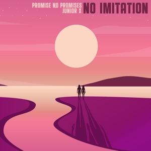 No Imitation-Promise No Promises