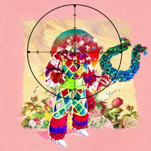 Focused-Royalty Statements