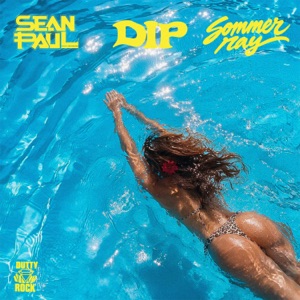 DIP
