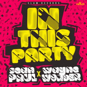 In This Party-Sean Paul