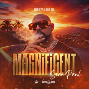 Magnificent - Sean Paul