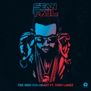 Tek Weh Yuh Heart-Sean Paul